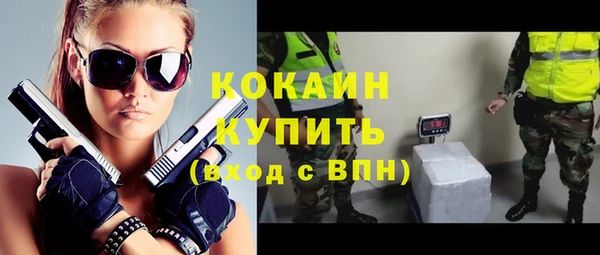 дмт Карпинск