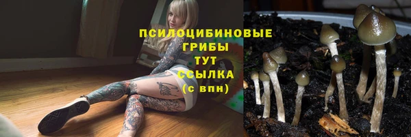 кокс Касимов