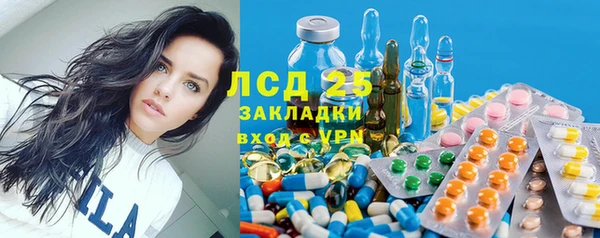кокс Касимов
