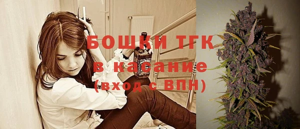 кокс Касимов