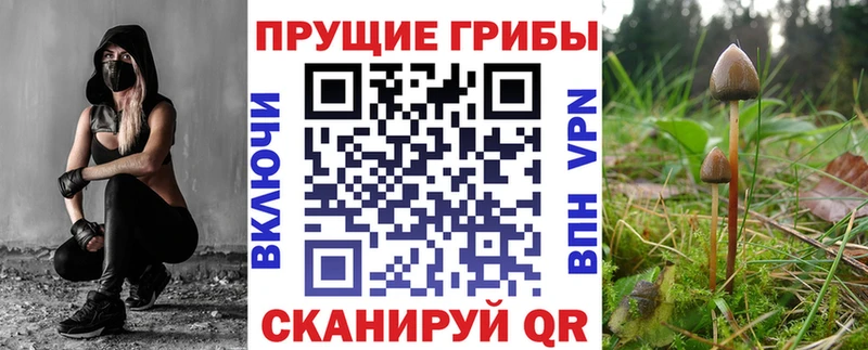 Галлюциногенные грибы GOLDEN TEACHER  Клинцы 