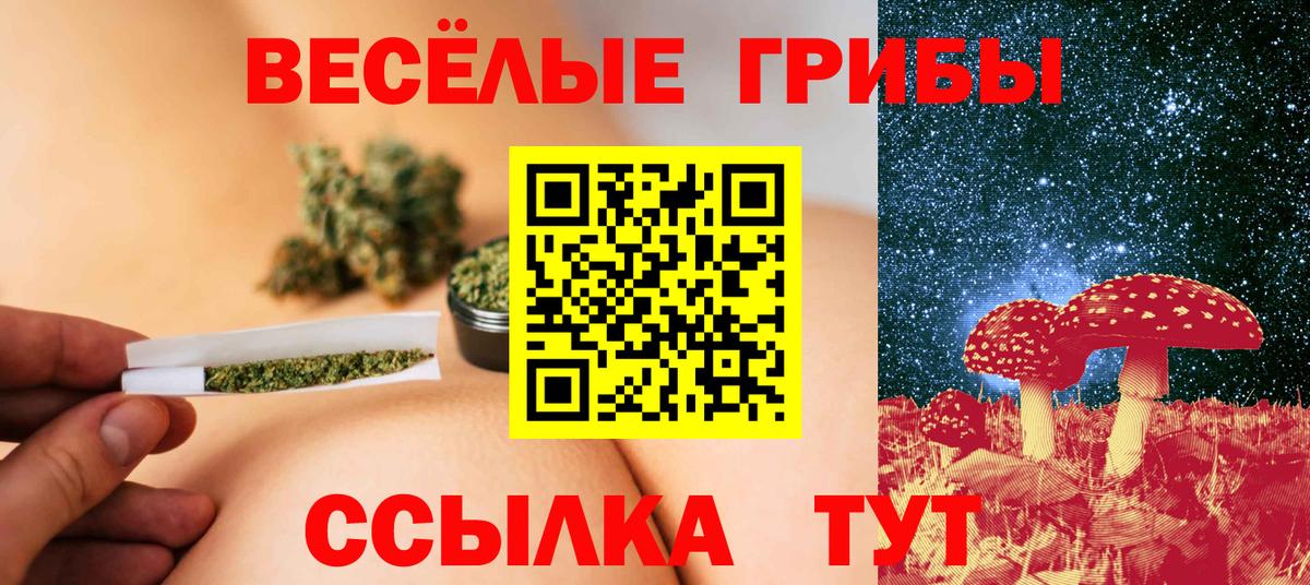 Клинцы  Галлюциногенные грибы мухоморы  Вход с VPN 