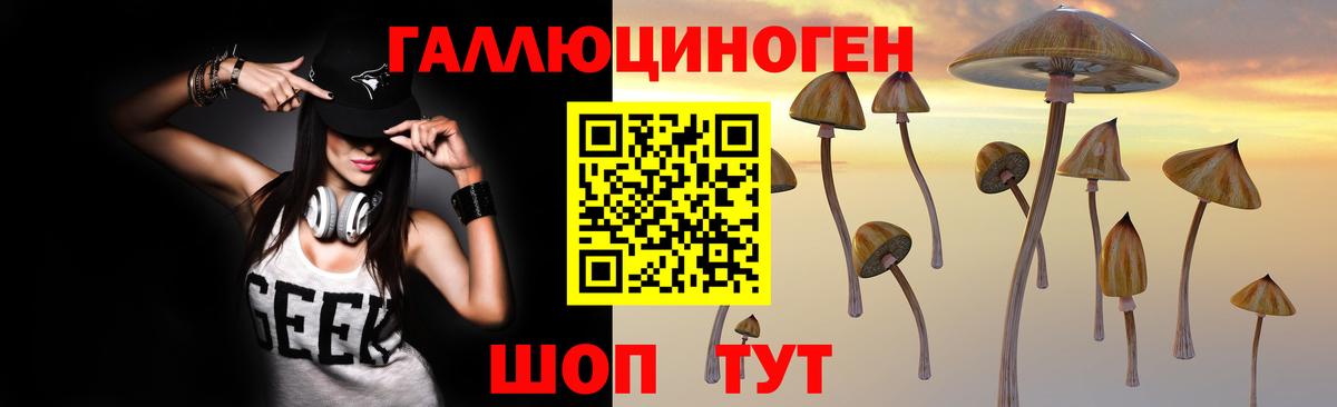 Галлюциногенные грибы Psilocybine cubensis Клинцы